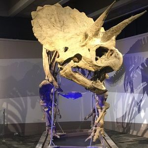 Meet your Posher, Nuch